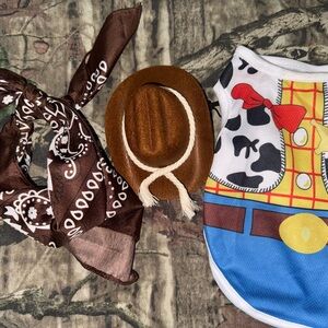 Woody Cowboy Dog Costume
